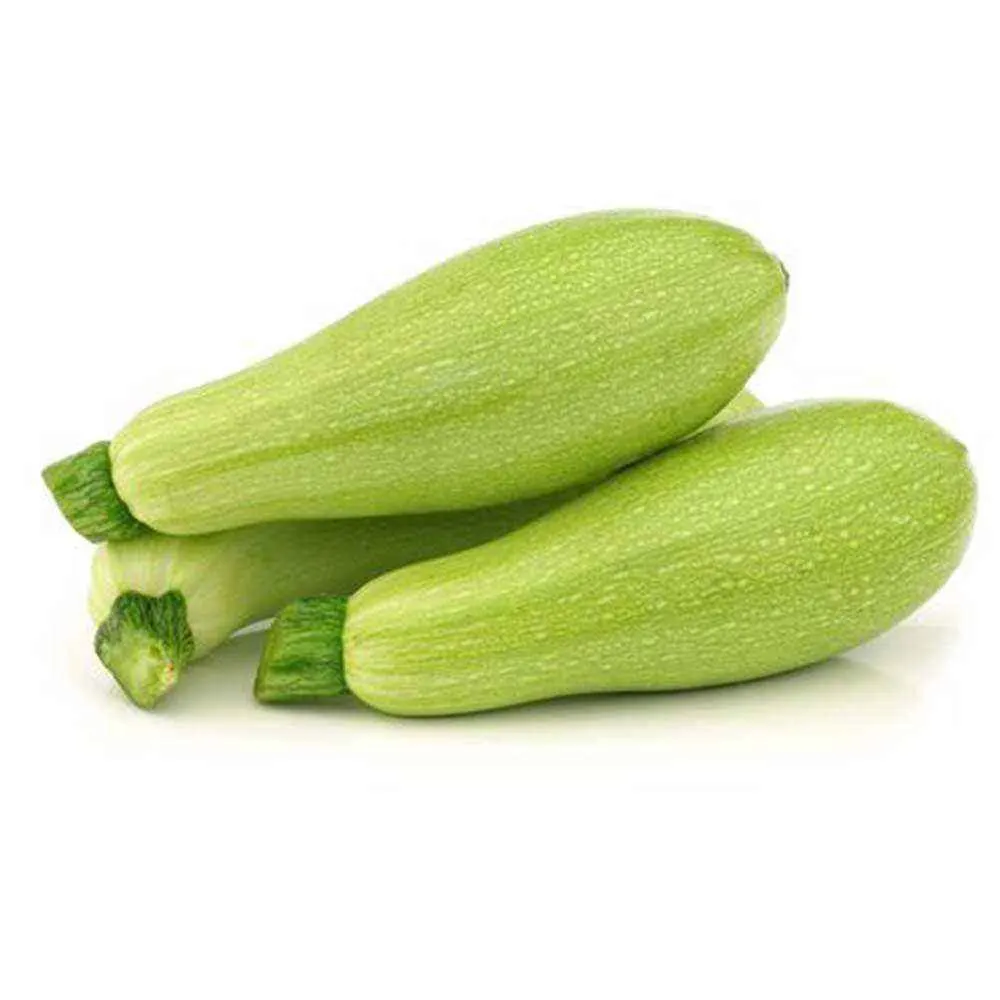 Courgette blanche 500g - FILIERE M 1