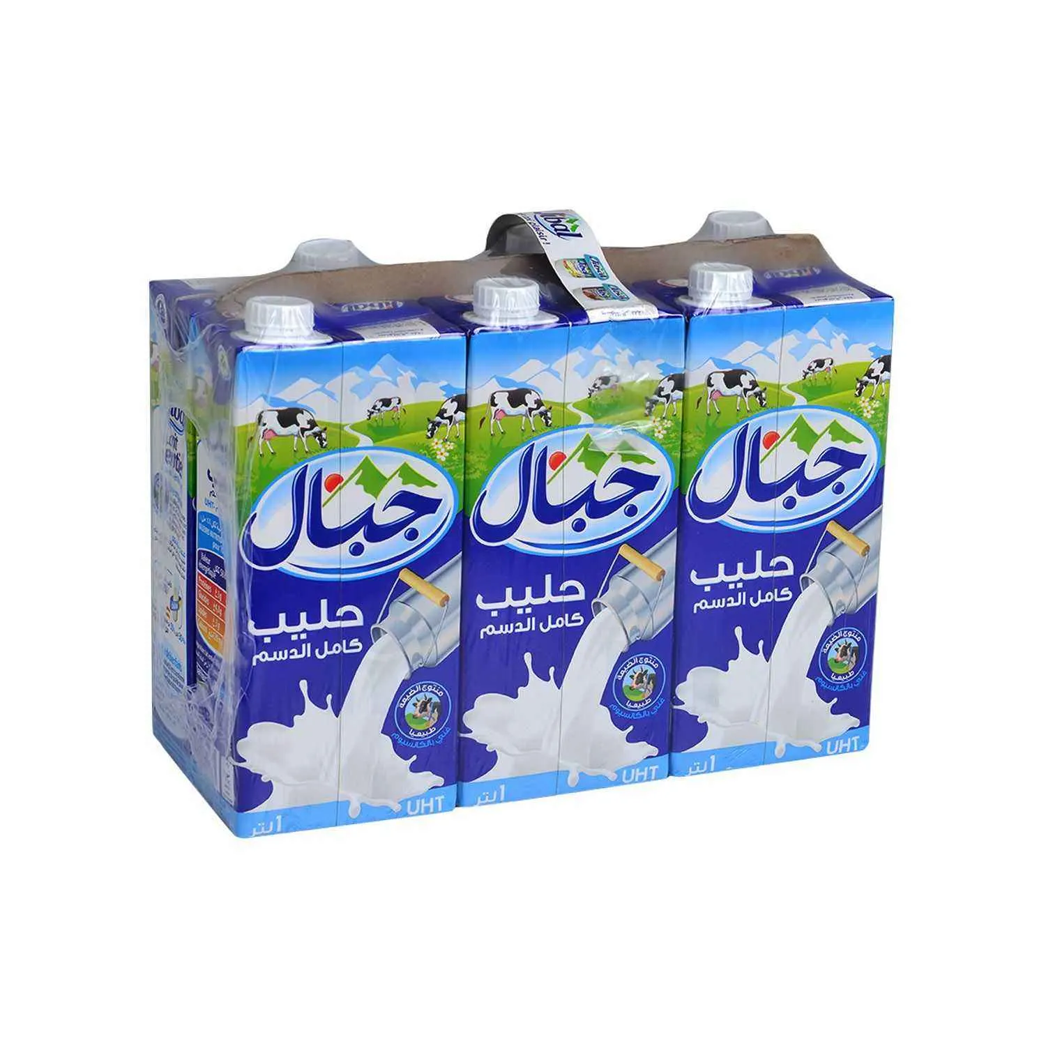 Lait entier naturel stérilisé UHT 6x1L - JIBAL 1
