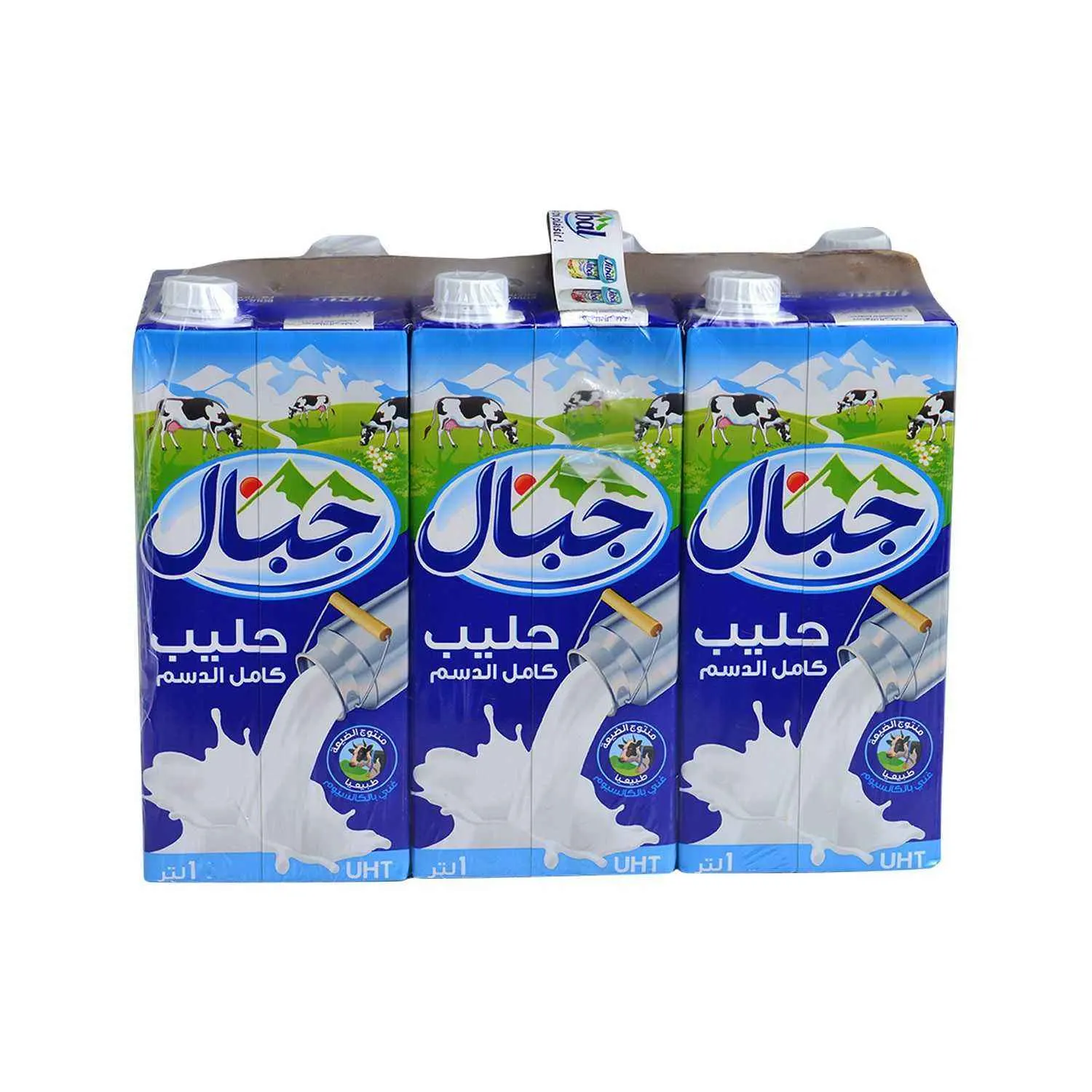 Lait entier naturel stérilisé UHT 6x1L - JIBAL 3