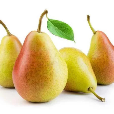 Poire gros calibre 1kg